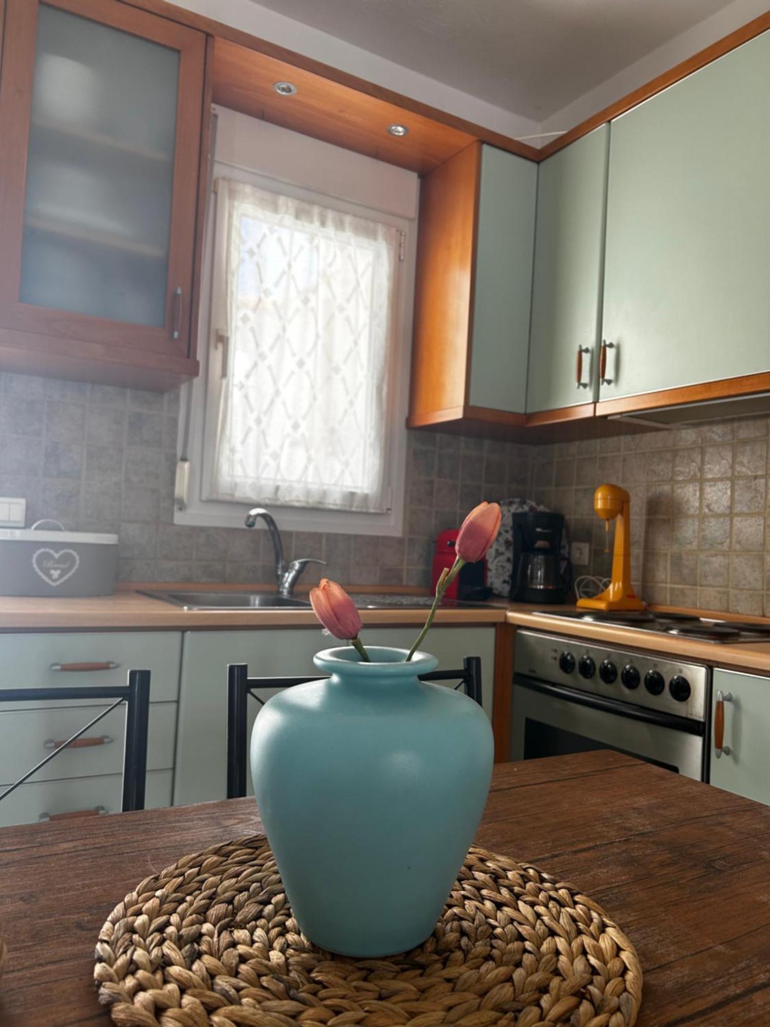 Perfect Hospitality - Elenas House, Nikiti Vila Exterior foto